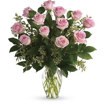 1 Dozen Pink Roses