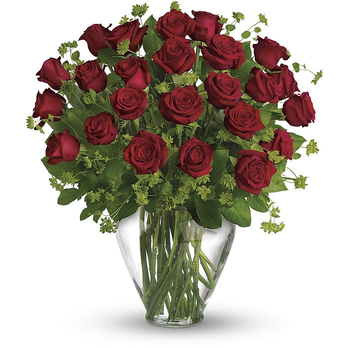 24 Long Stemmed Red Roses