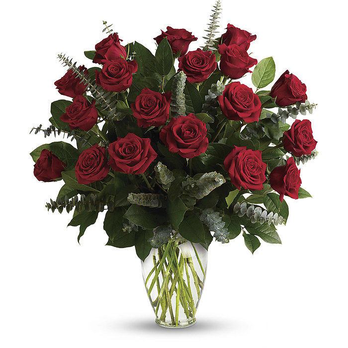 1 Dozen Red Roses