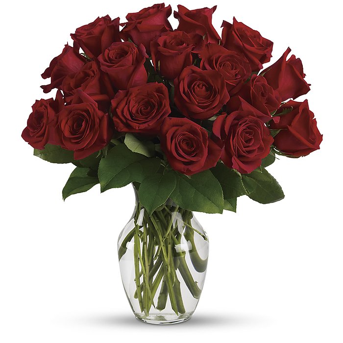 Just Roses - 12 Red Roses