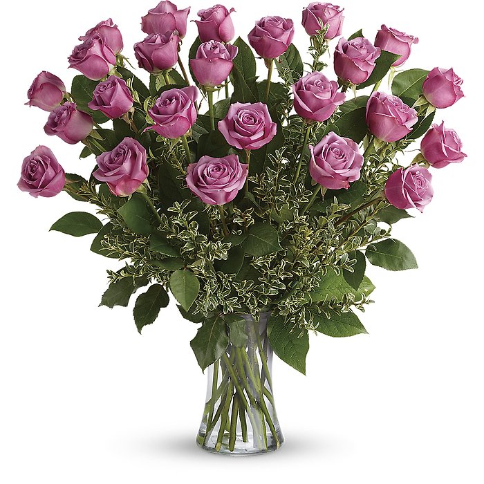 1 Dozen Lavender Roses