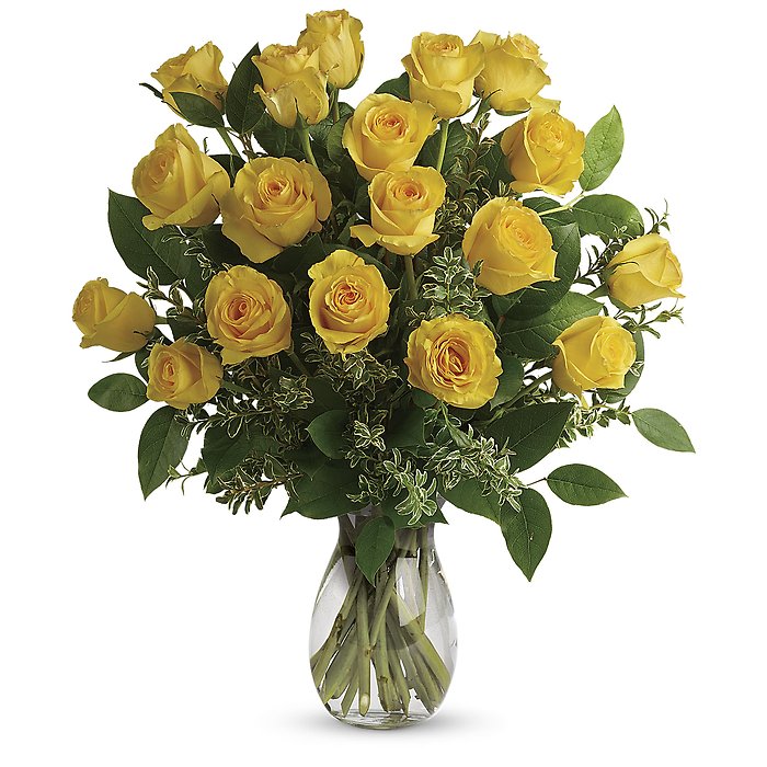 1 Dozen Yellow Roses