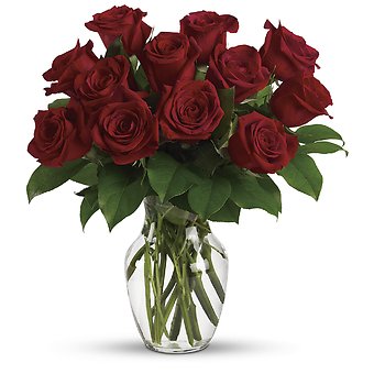 Just Roses - 12 Red Roses