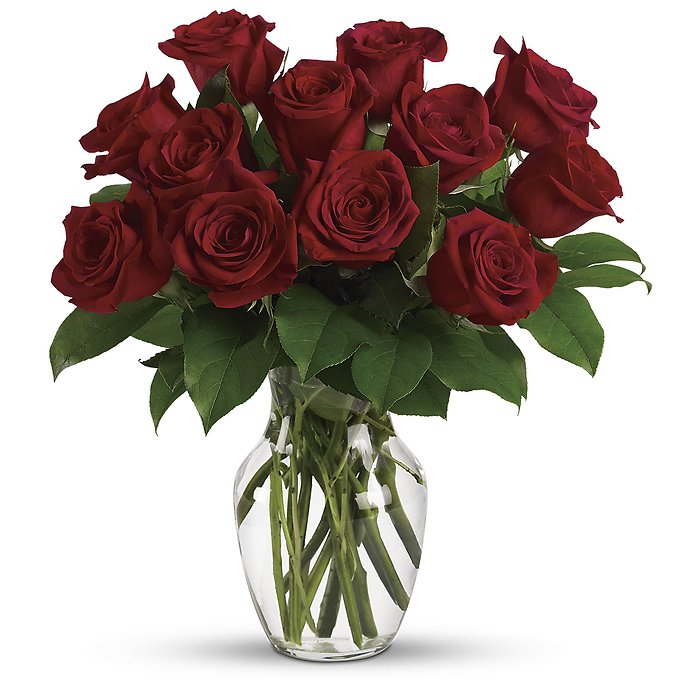 Just Roses - 12 Red Roses