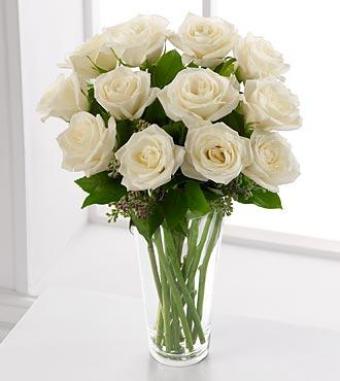 1 Dozen White Rose