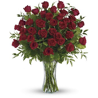3 Dozen Long Stemmed Roses